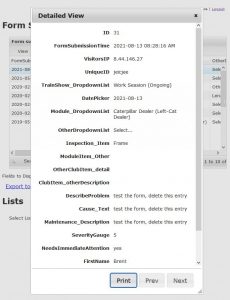 Detailed view when you select one of the items in the form submission screen